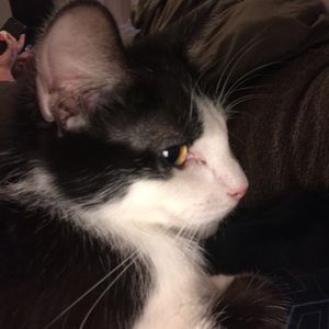 Meet your Posher, Kassi